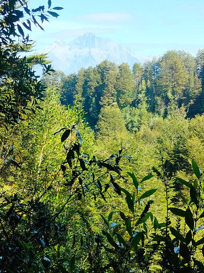 Viaggio in Patagonia Parte 3: Traghetto per Chaoten + Parco Nazionale Pumalin