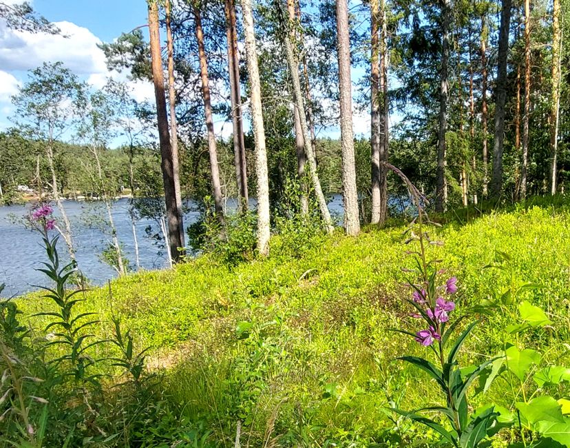 Südschweden-Tour - Tag 23