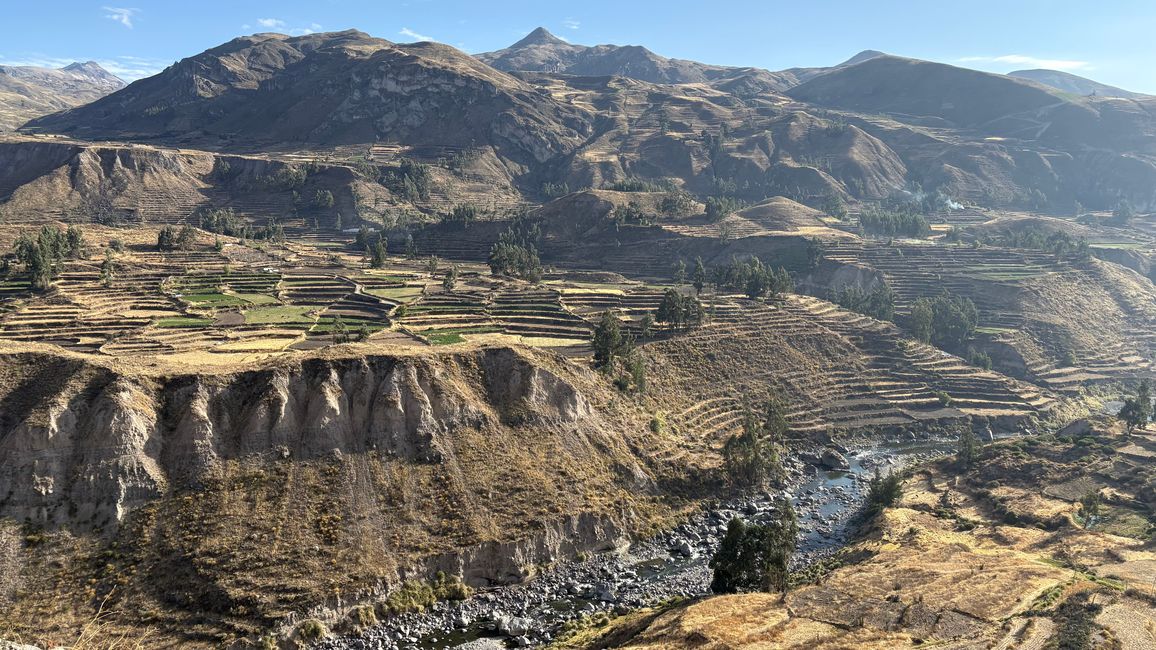 Perù_2025 - Giorno 9: Canyon del Colca e Croce del Condor