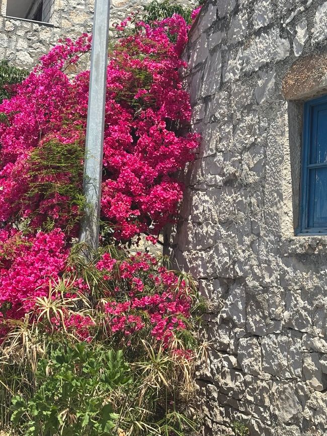 Radfahren auf Mljet
