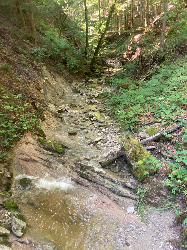 Das Wandern ist des Fischers  Lust-Ellegghöhe