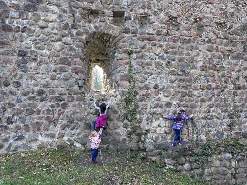 Schottisches Südamerika