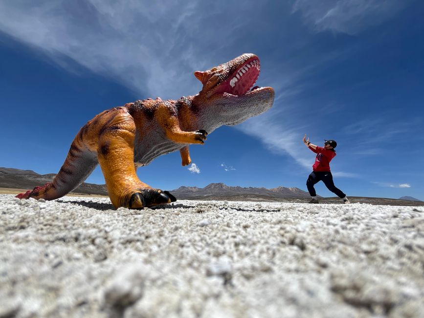 Arequipa: Beautiful Colca Canyon and the best almond peak in the world
