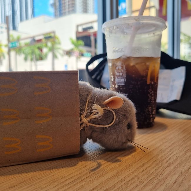 Kleine Maus auf großer Fahrt im McDonalds Miami