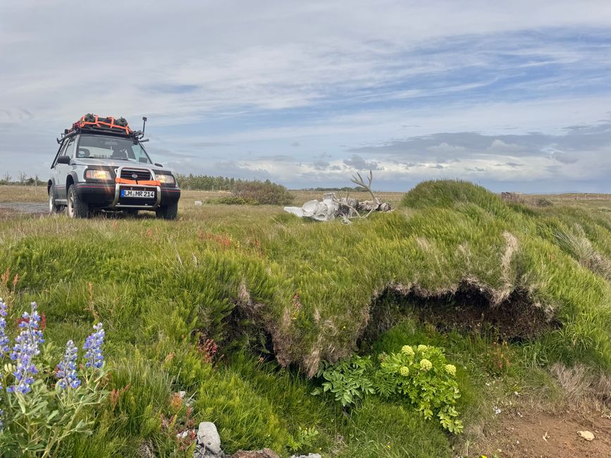 chilliger Tag rund um Selfoss