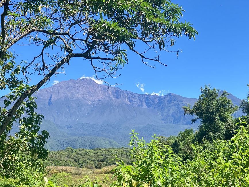 Kilimanjaro y el Parque Nacional Arusha