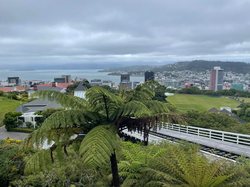 Ahoi Wellington - unser letzter Tag auf der Nordinsel