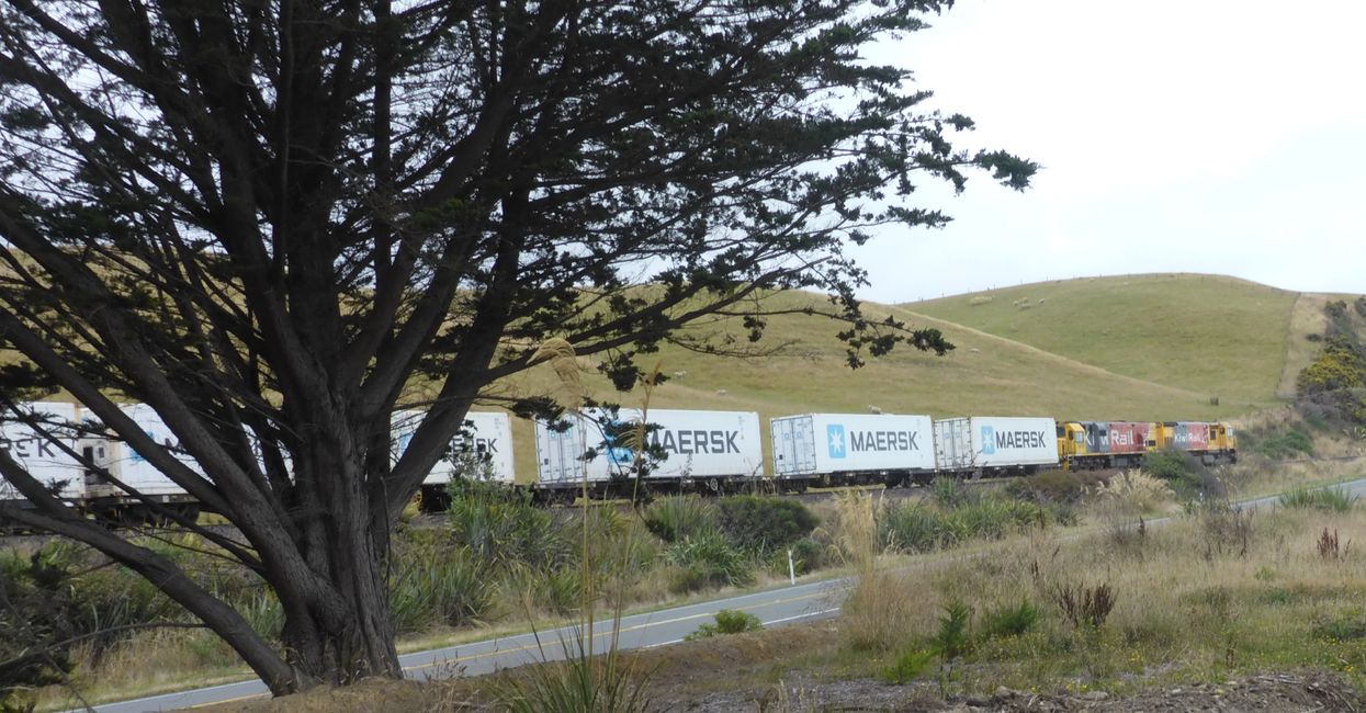 2025-02-08 Oamaru Dunedin, NZL