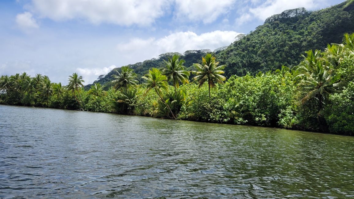 Raiatea – Along the Fa’aroa River