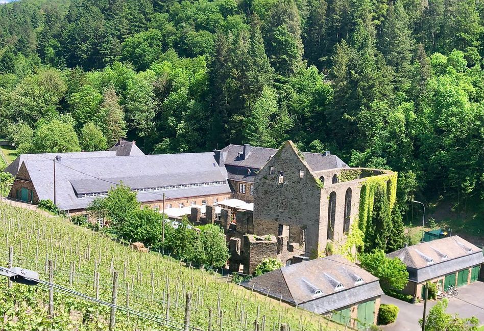 Ein Blick von oben auf Weingut Kloster Marienthal.