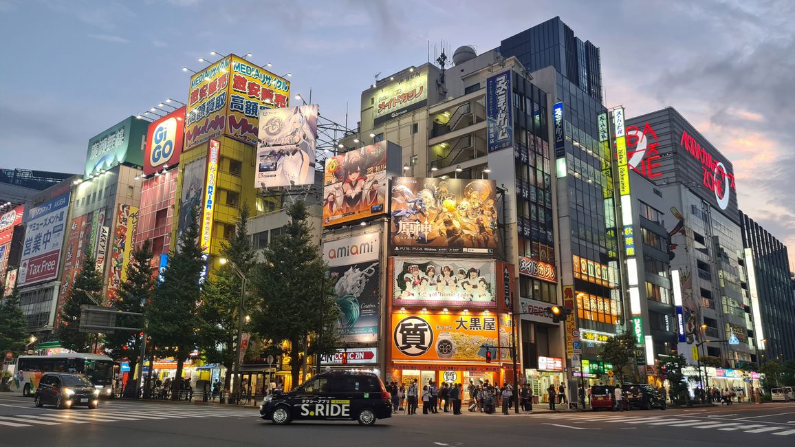 In Tokyo we are overwhelmed by the urban sensory overload...