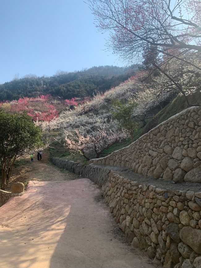 Gwangyang