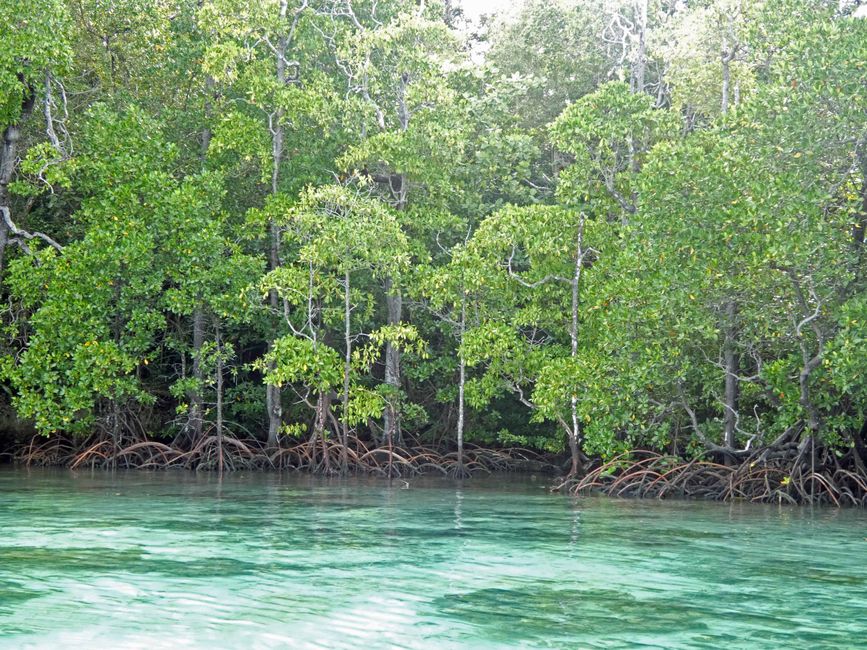 Waiag, Raja Ampat, Indonesia