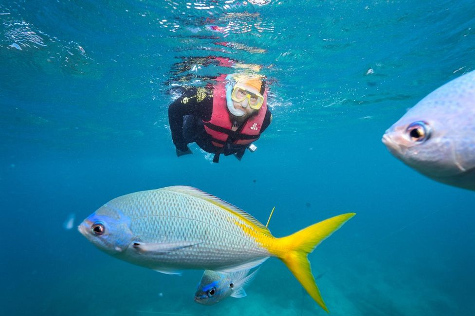 Tag 27, 21. Mai, Great Barrier Reef