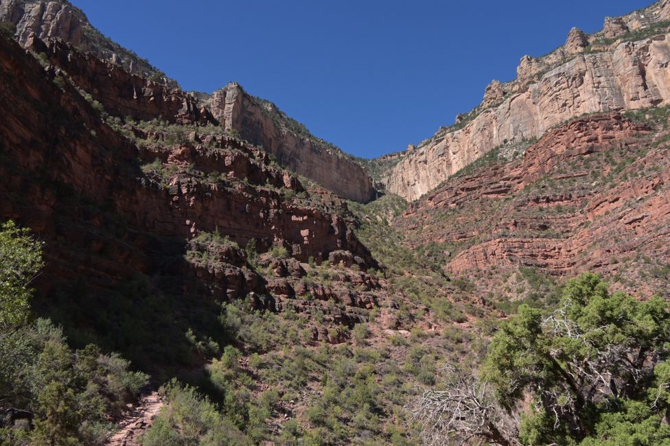 Bright Angel Trail