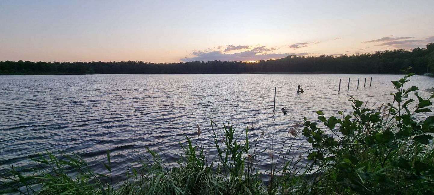 Tag 2 Grenzgang (Bergwitzsee)