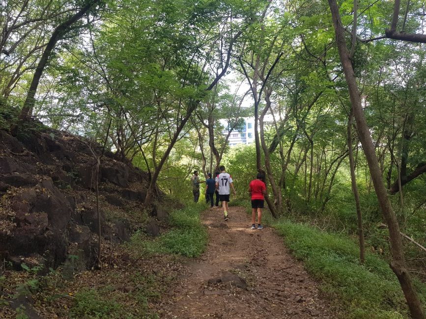 Hiking trail