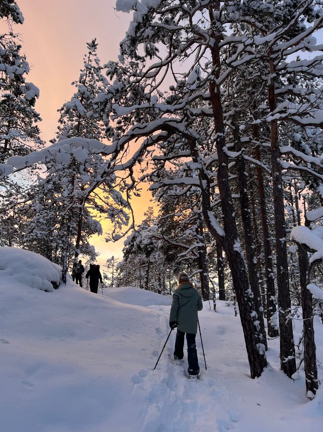 The finnish way