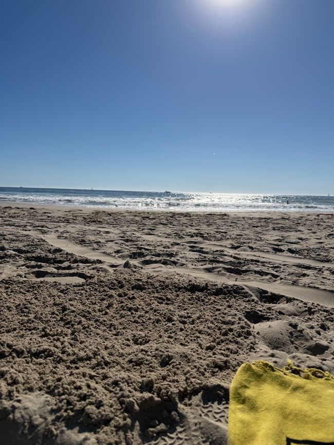 2 giorni a Venice Beach e partenza per Panama