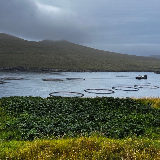 Vagar