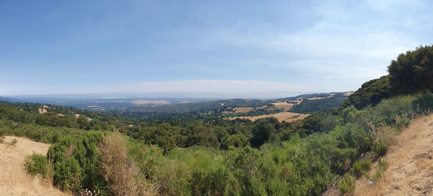 View on the Skyline Boulevard