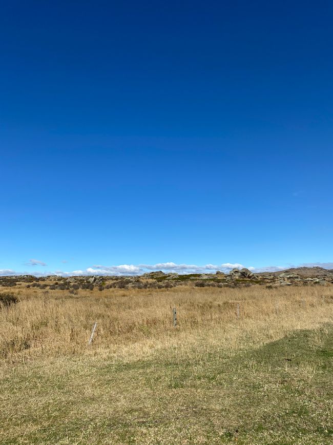 Middlemarch landscape