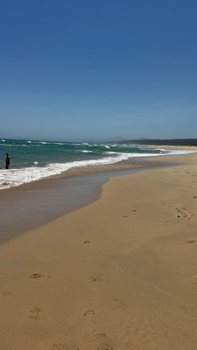 De la safari al mar
