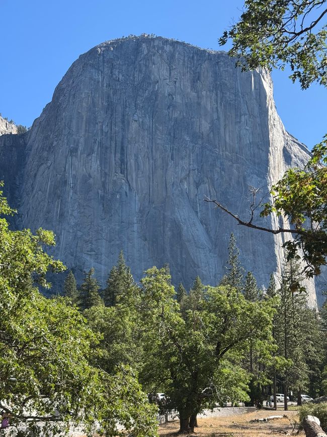Yosemite National Park