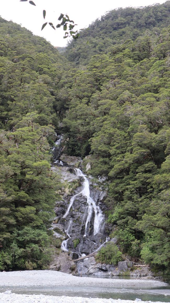 Fantail Falls