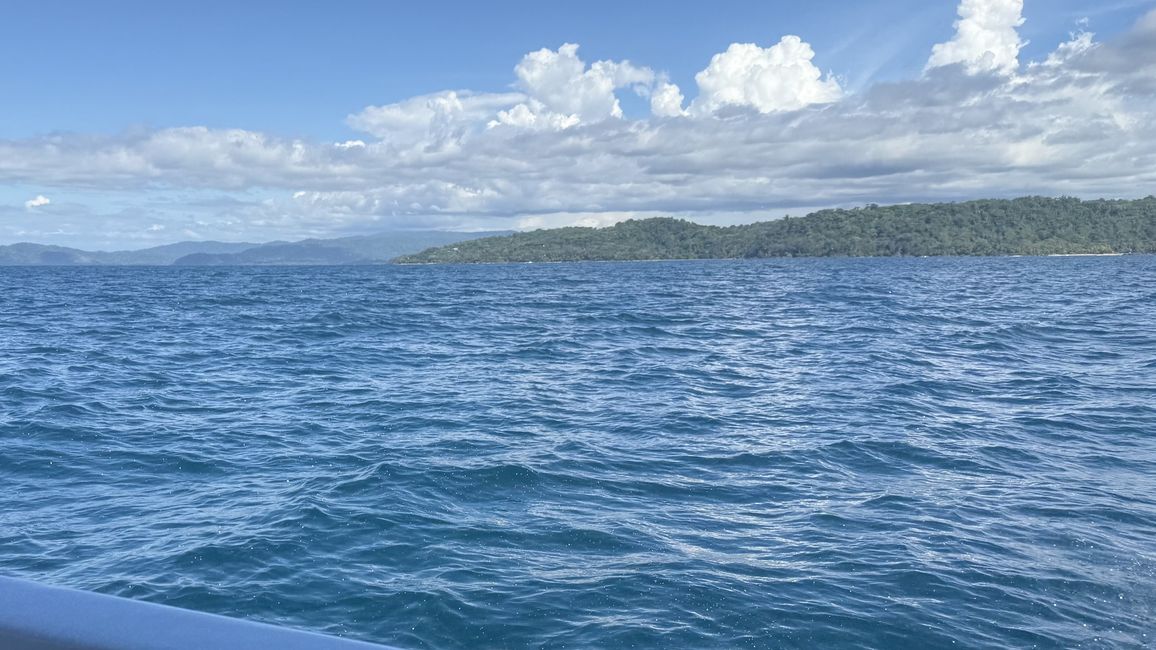 BLOG 15: En barco al Parque Nacional Corcovado