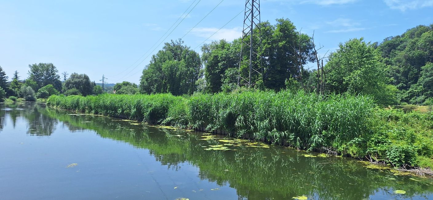 Canal bank