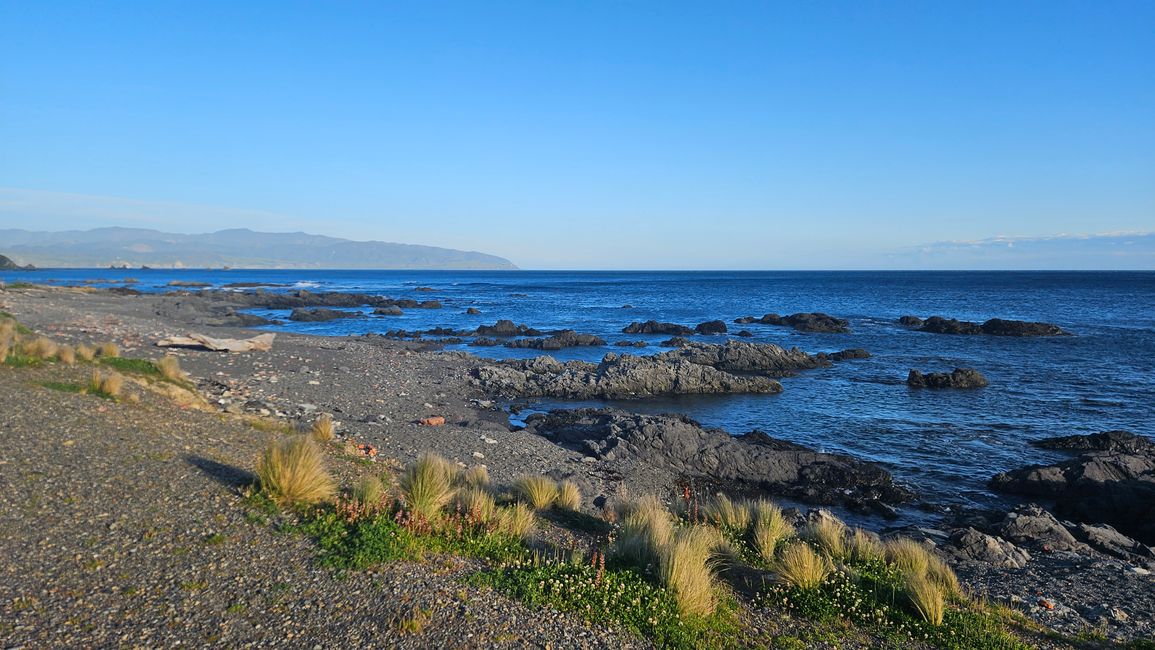 Owhiro Bay