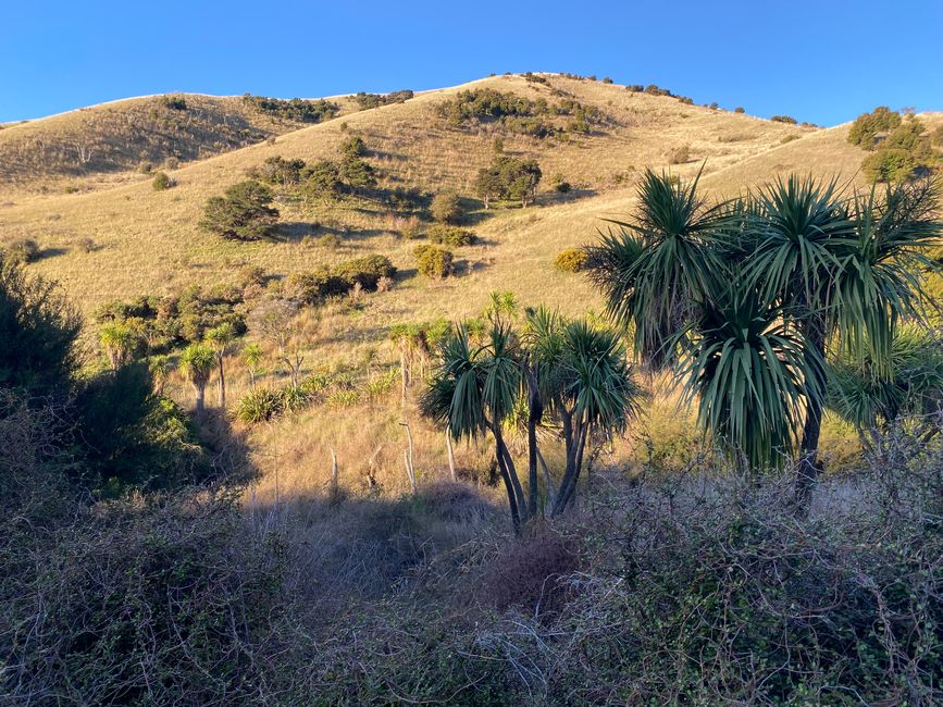 Nelson, Queen Charlotte drive, Picton, Kaikoura, Blenheim