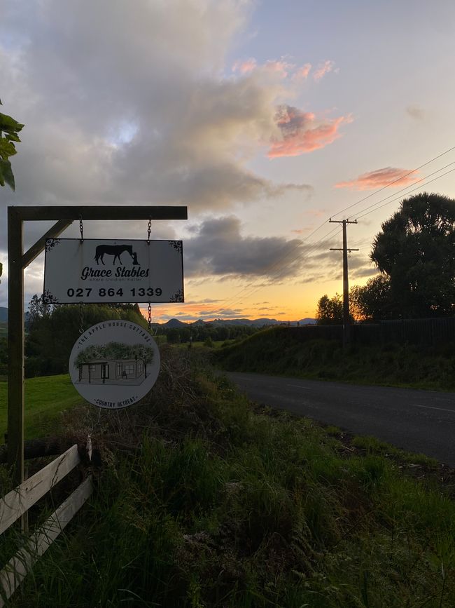 Rotorua 🇳🇿