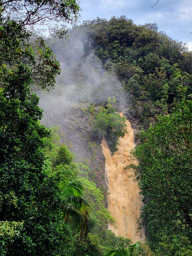 Kondalilla Falls nach massivem Regenfall