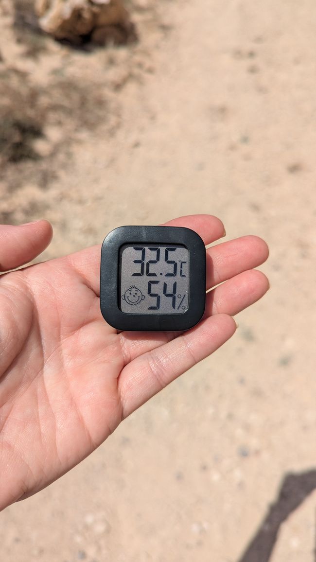 Tag 2: Inseltour auf Porto Santo