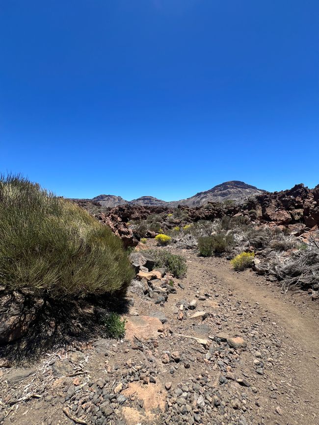 Trail