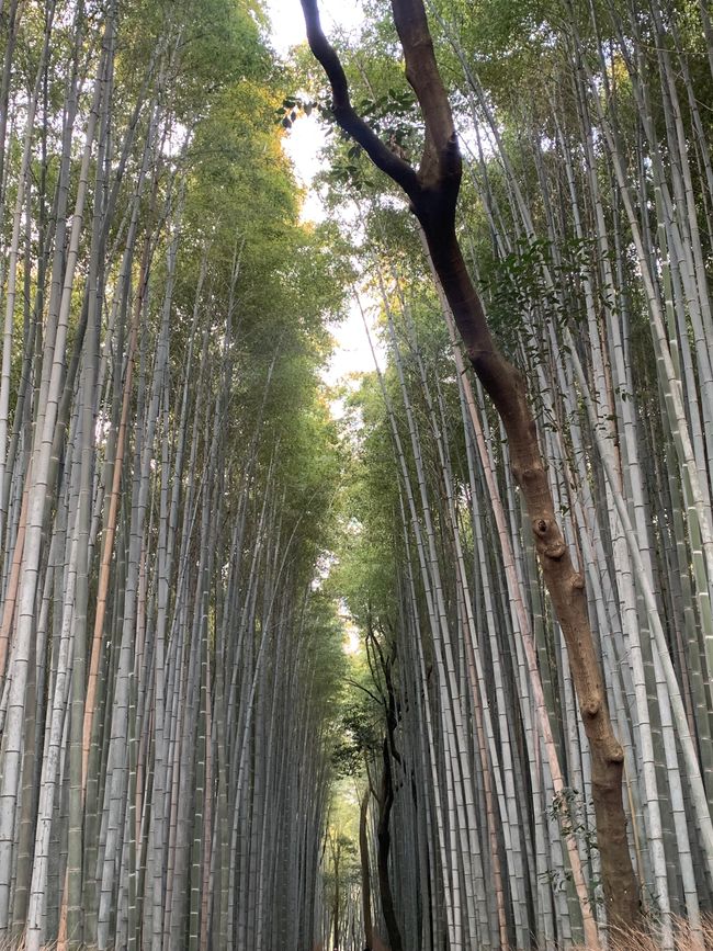 Kyoto