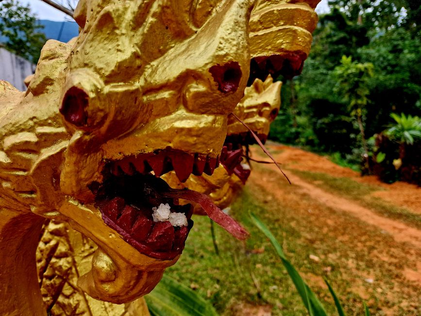 Drache mit Zunge