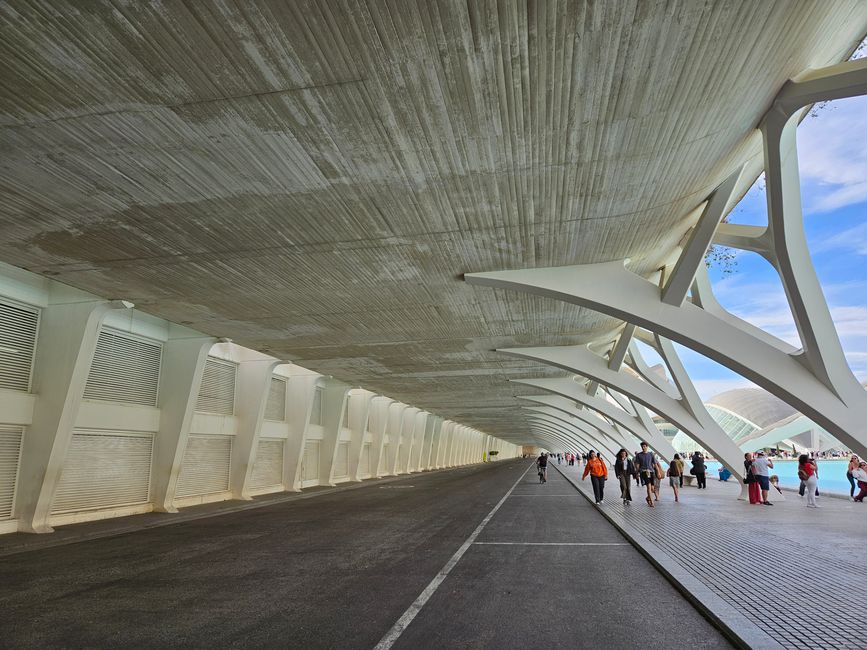 2025 - April - Valencia - Architektur von Santiago Calatrava