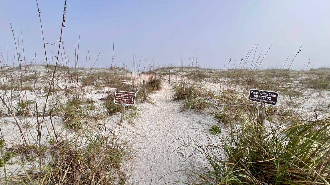 Tag 388 - Anastasia State Park