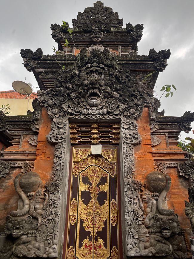 Woche 11 - Bali (Canggu + Ubud)