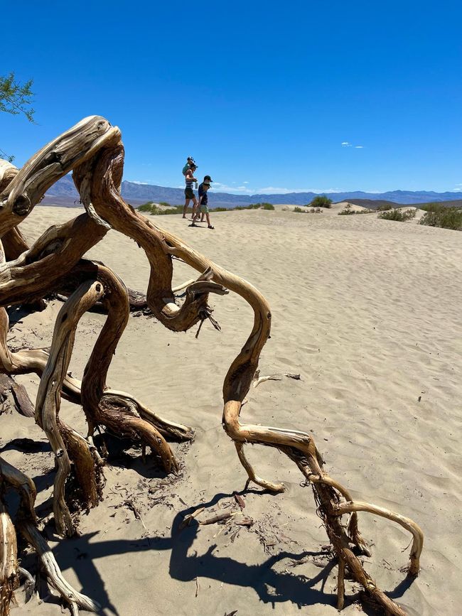 Death Valley / Lac Isabella