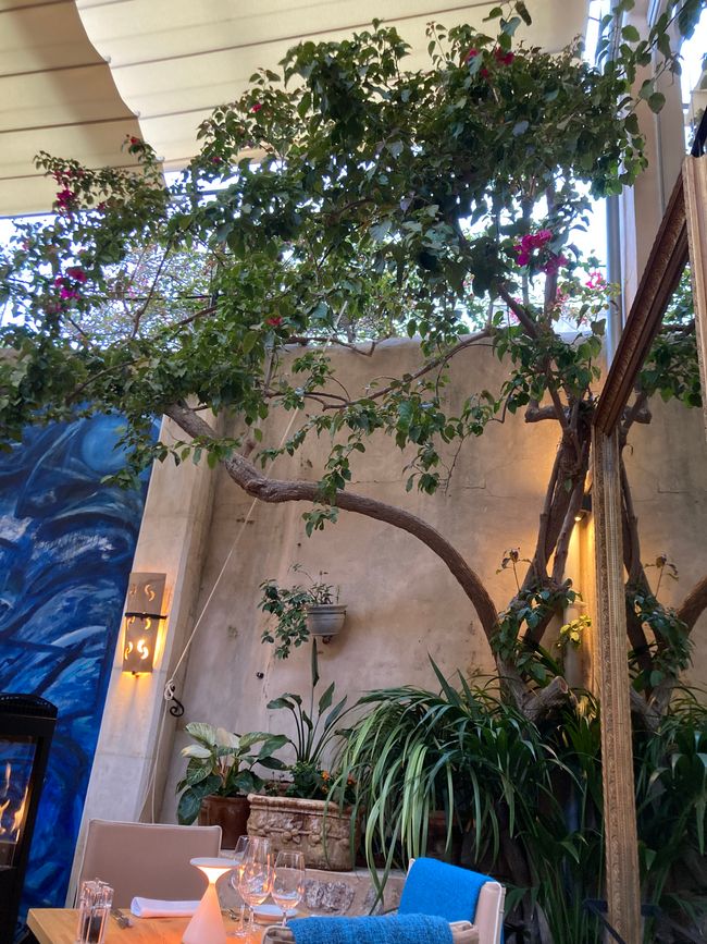 In Soller …finde ich den Mann für‘s Leben