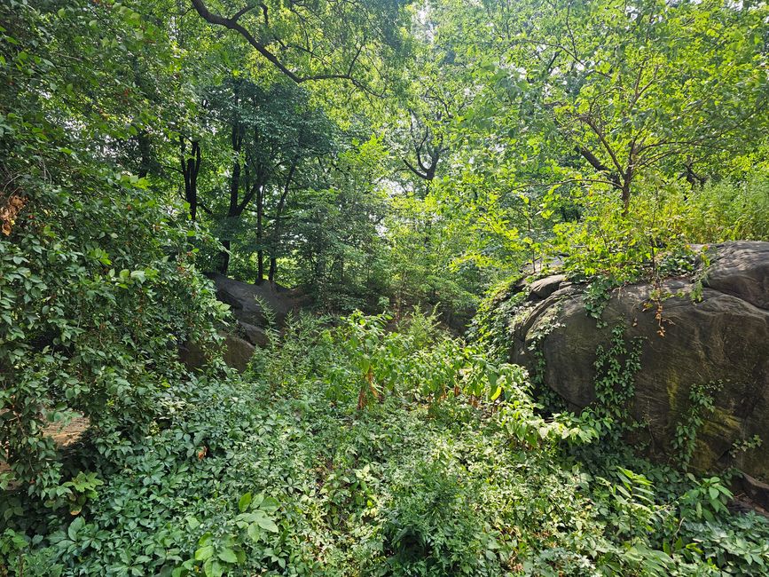 Überall diese schönen Felsen 🥰