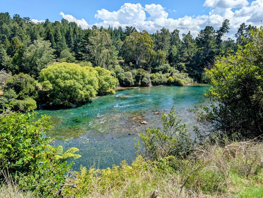 Taupo - fast alles genau richtig so