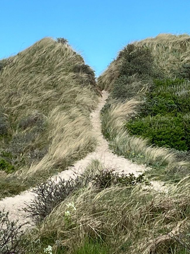Dänemark Nordjütland Jammerbucht Svinklov