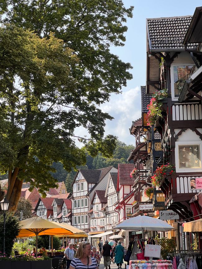 Discover Germany anew