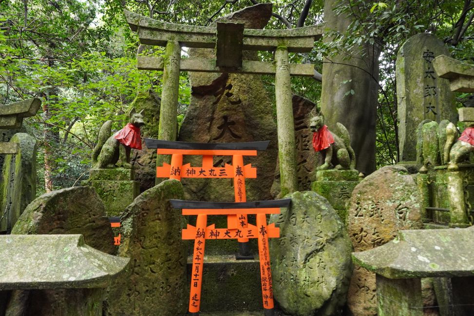 Im Sprint durch Kyoto