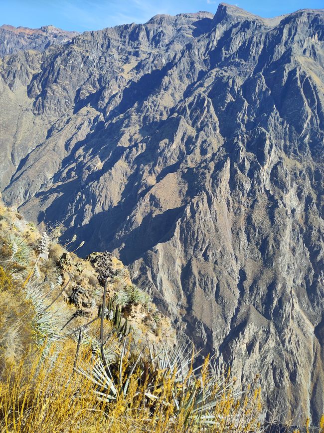 Arequipa: Beautiful Colca Canyon and the best almond peak in the world